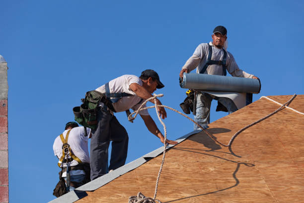 Best Residential Roof Replacement  in Lombard, IL