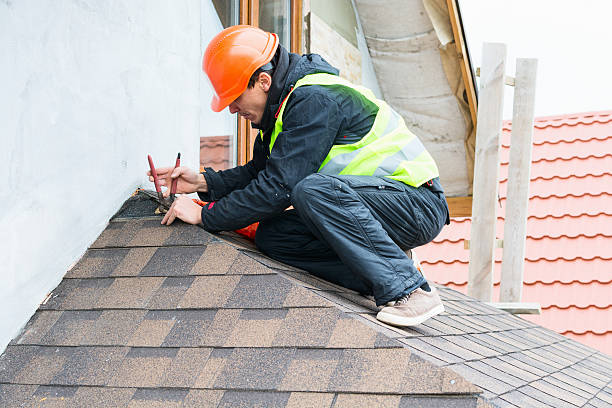 Best Roof Gutter Cleaning  in Lombard, IL